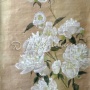 Peonies. Watercolor on butcher paper
